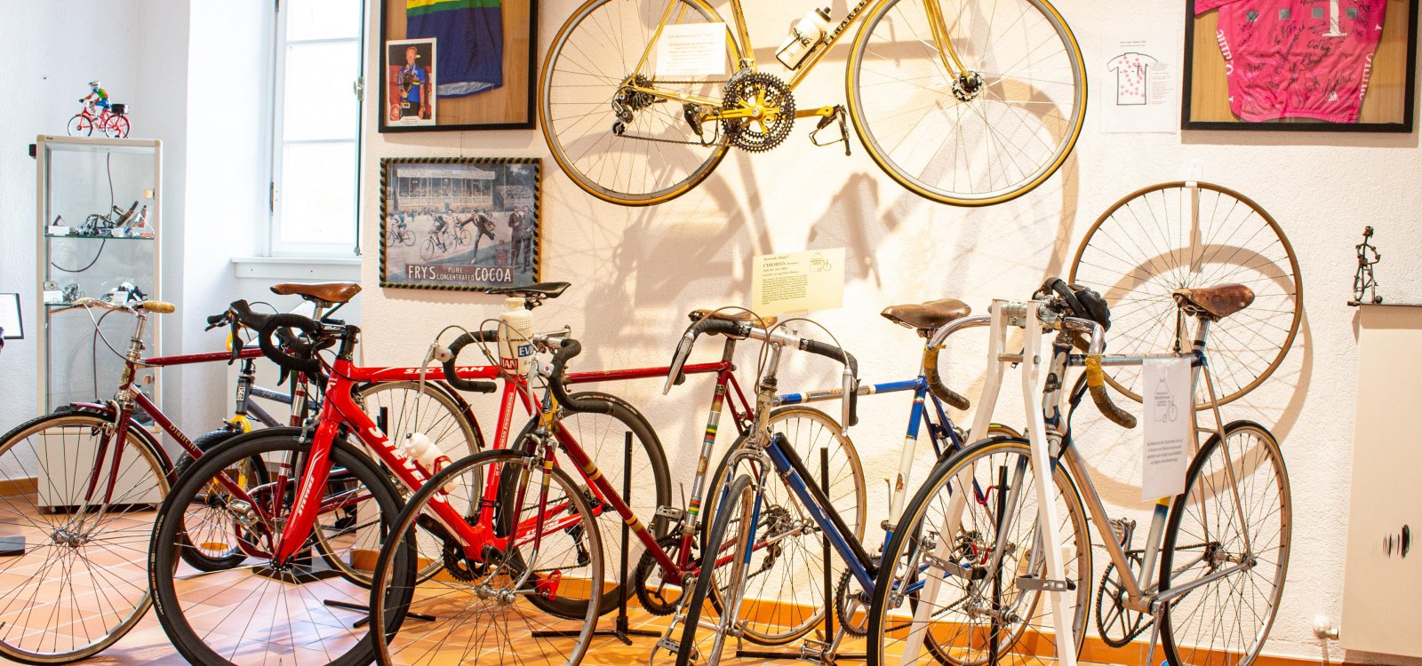 Rheinhessisches Fahrradmuseum - Sporträder