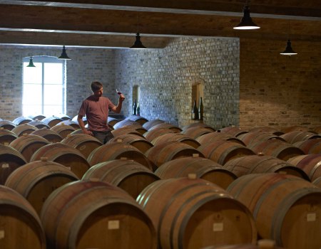Winegrower in barrique barrel cellar