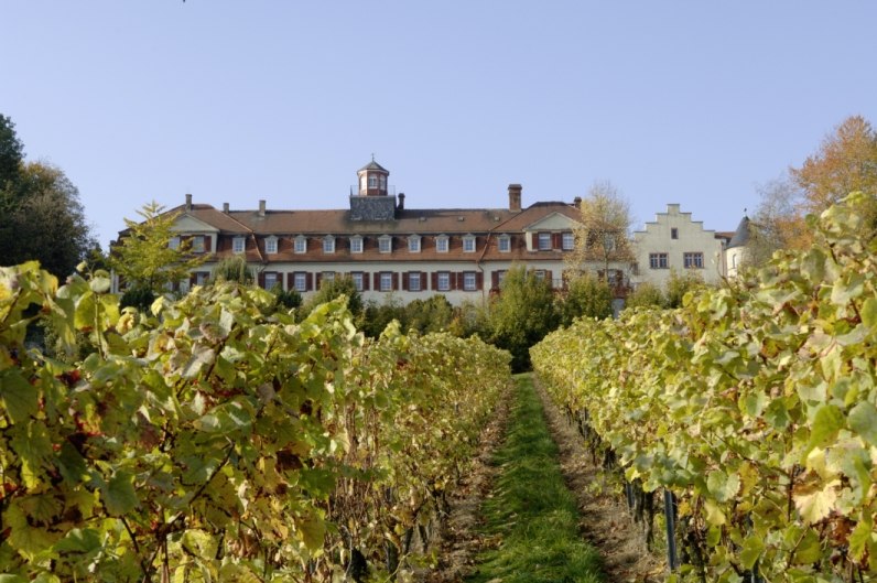 Weingut Schlo&szlig; Westerhaus_Front, &copy; Weingut Schlo&szlig; Westerhaus