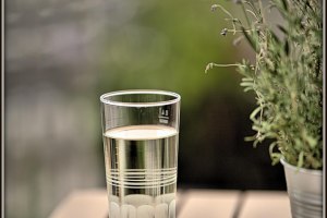 Wein Genuss Walk, &copy; IkUM GmbH