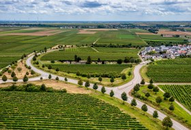 Hohen-S&uuml;lzener Kirchenst&uuml;ck