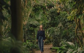 Tropenhaus Botanischer Garten