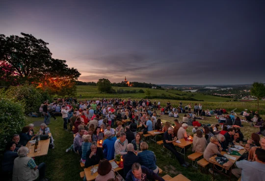 Weinfest in Rheinhessen