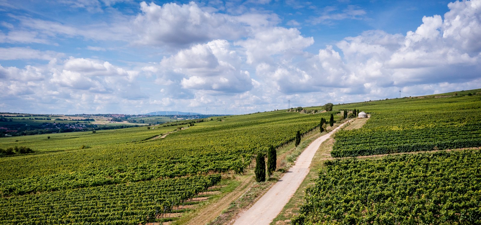 Westhofener Morstein