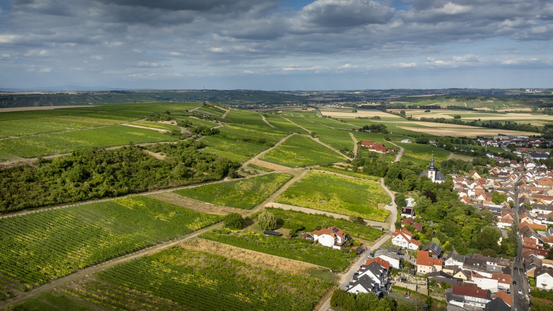 Partenheimer Sankt Georgen-033 Kopie