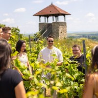 In den Weinbergen &copy; Funzeln.com