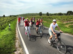 Rhine Cycling © www.inmedia.info