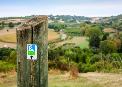 Beliebter Prädikatswanderweg mit Startpunkt am Bismarckturm in Ingelheim