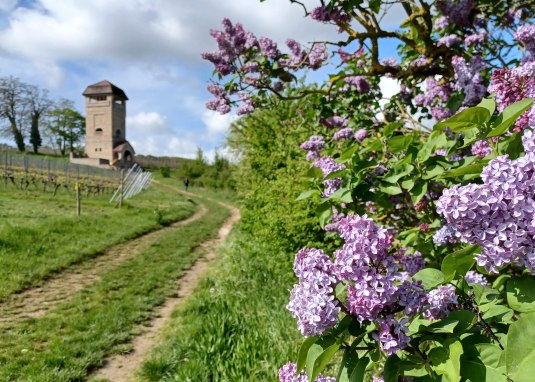 Wasserturm W&ouml;llstein
