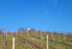 Aussicht Hiebergturm &copy; Tourismus GmbH "Im  Herzen Rheinhessens"