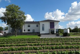 Weingut Meyerhof
