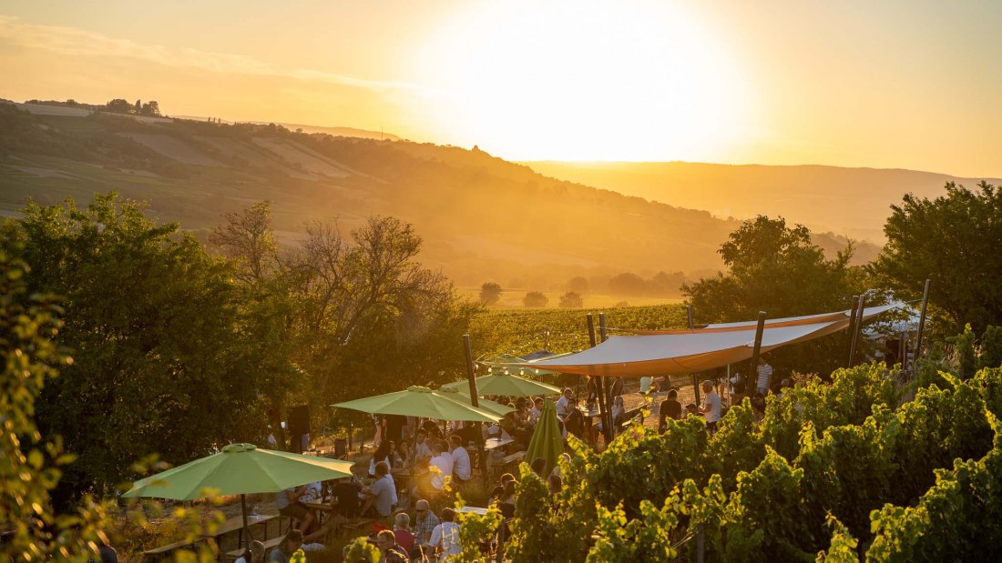 © Max Singer-Fischer