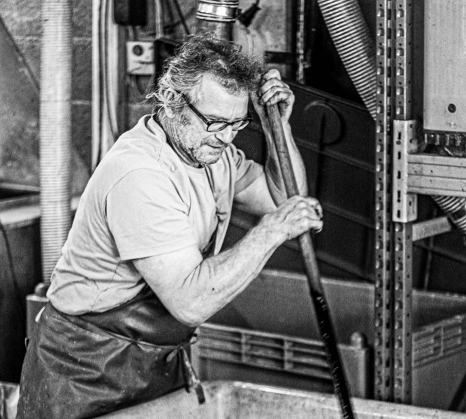 Weingut Huf_Traubenkelter, &copy; Weingut Huf