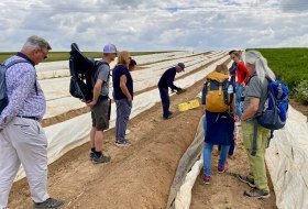 Spargel & Wein &copy; Guido Borowski