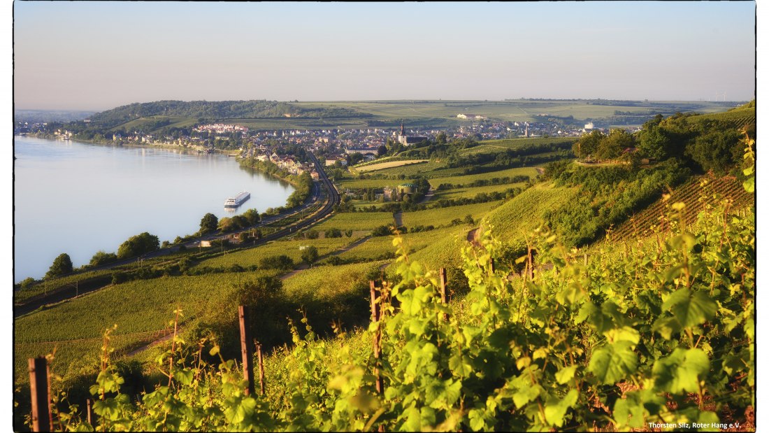 pano-hipping-250x150-02_1, &copy; Weingut Wedekind
