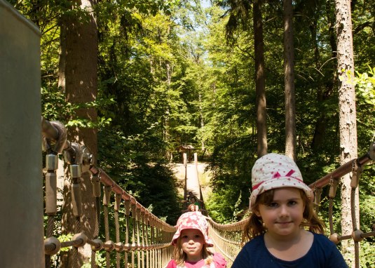 H&auml;ngebr&uuml;cke Binger Wald &copy; Martin K&auml;mper Quelle Stadt Bingen
