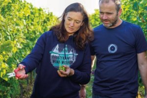 Weingut Gustavshof, &copy; Weingut Gustavshof