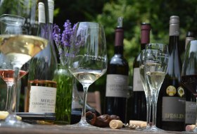 Weingut Gerold Spies_Weinprobe