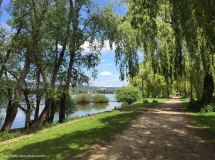 Rheinauen in Ingelheim &copy; Petra Julius/Stadt Ingelheim
