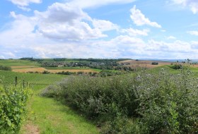 Familienf&uuml;hrung Neuborn1 &copy; Angelika Friedrich