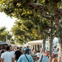 Rheinpromenade am Mainzer WeinUfer &copy; Maximilian Klapdar_mainzplus CITYMARKETING