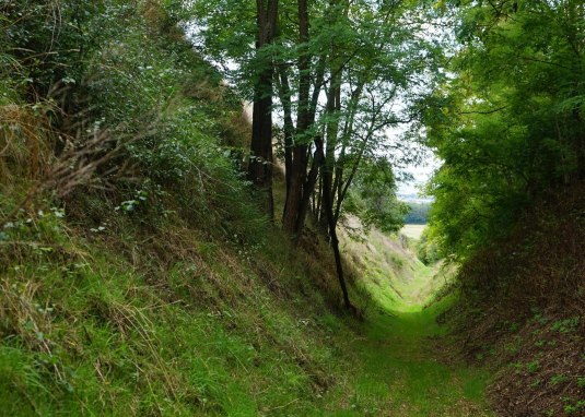 Dorschberger Hohl &copy; by inMEDIA