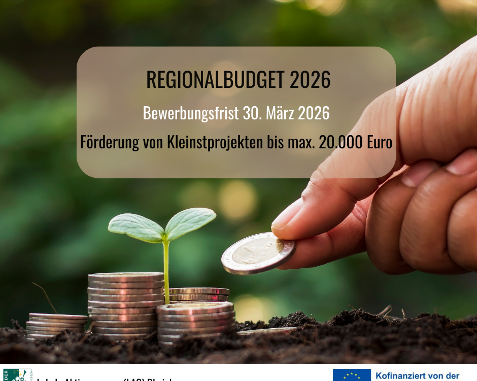 Template Regionalbudget