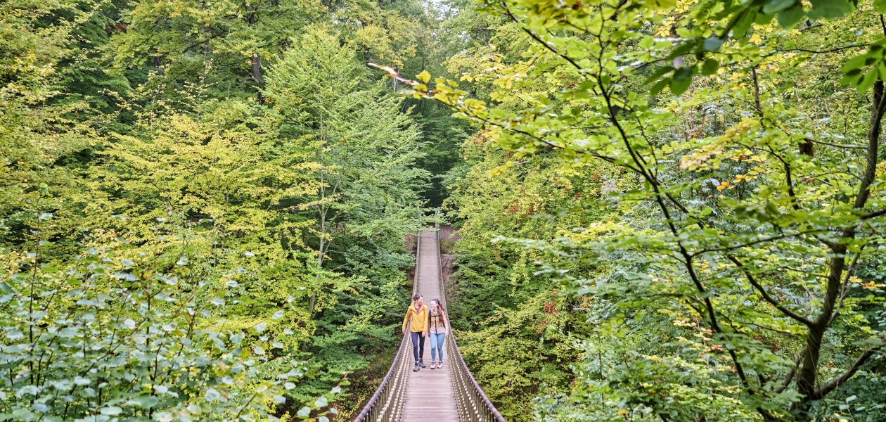 H&auml;ngebr&uuml;cke auf der Baumgeistertour, &copy; FlorianTrykowski / Bingen Tourimus & Kongress GmbH
