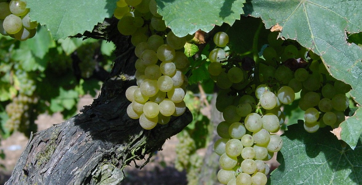 &copy; Ch.W. Bernhard