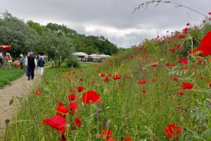 Weinrast im Pfrimmgarten Impressionen, &copy; Michael R&ouml;hrenbeck