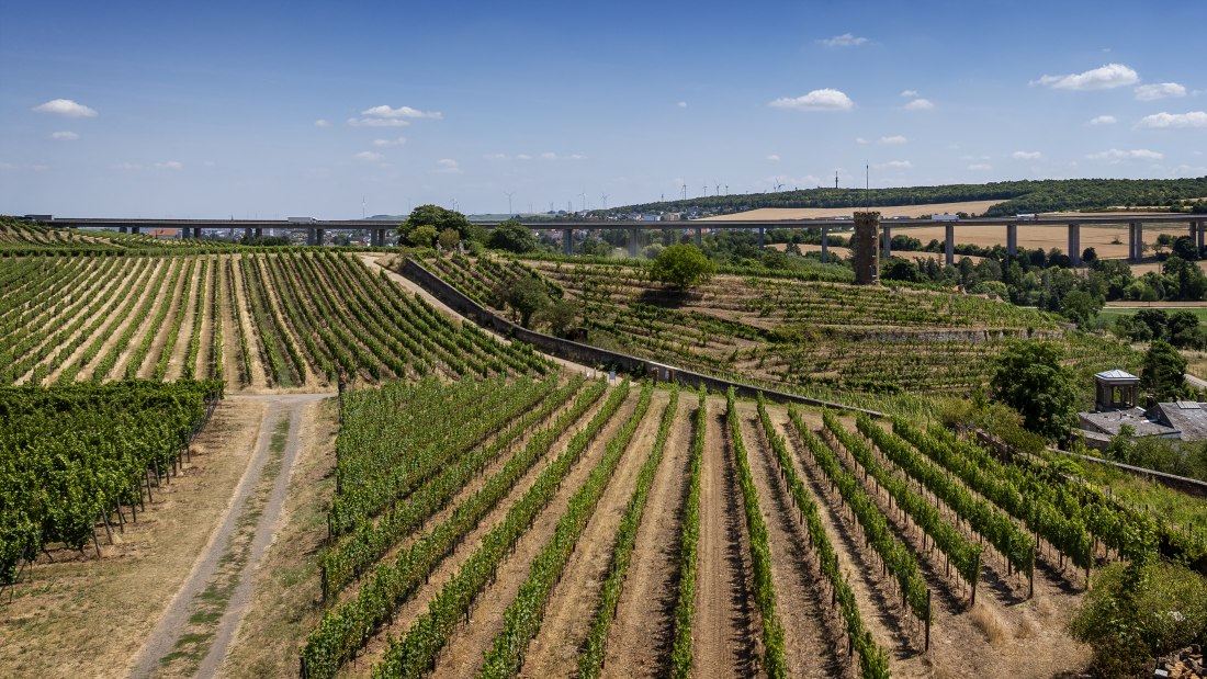 Weinheimer Heiliger Blutberg, &copy; Torsten Silz