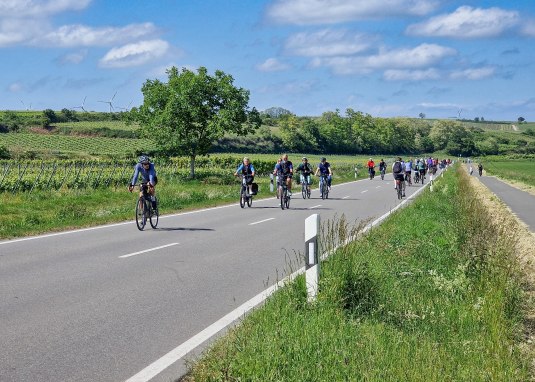 RheinRadeln 01 &copy; Rheinhessen-Touristk GmbH, Katja Zentel