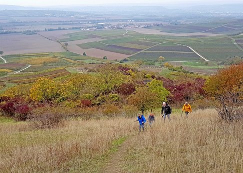 Rucksack auf und los! Spaziergänge oder Wanderungen für die ganze Familie, © Tanja Espenschied