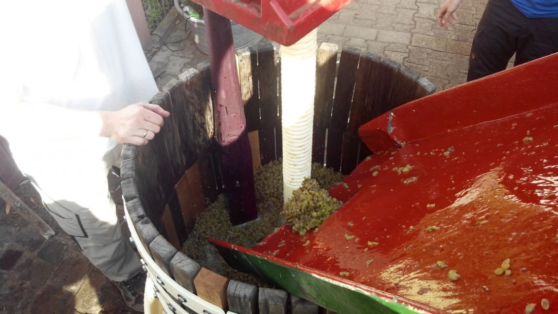 Weingut Tobias Hahn_Presse, © Weingut Tobias Hahn