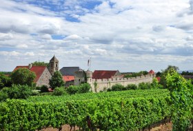 Fleckenmauer Ortspanorama © VG Monsheim/Fotograf Carsten Costard