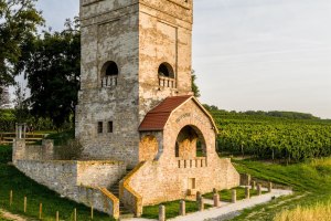 Wasserturm W&ouml;llstein