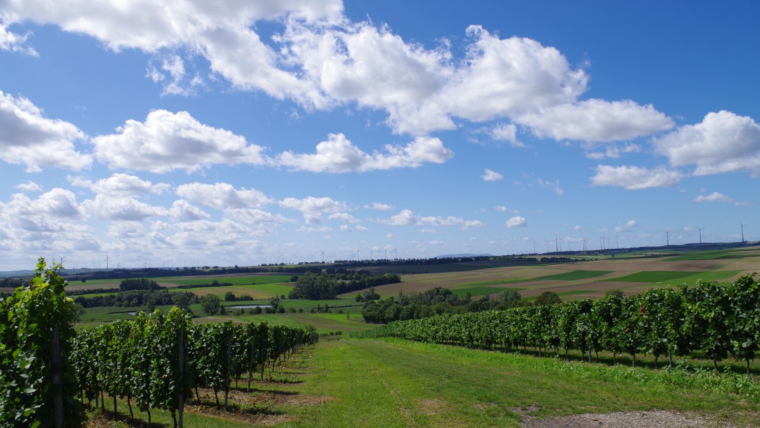 Weingut Bernhard_Weinberge 2, &copy; Weingut Bernhard