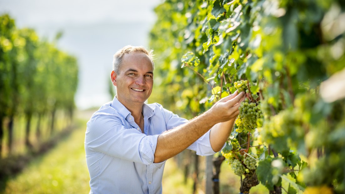 &copy; Weingut Raddeck