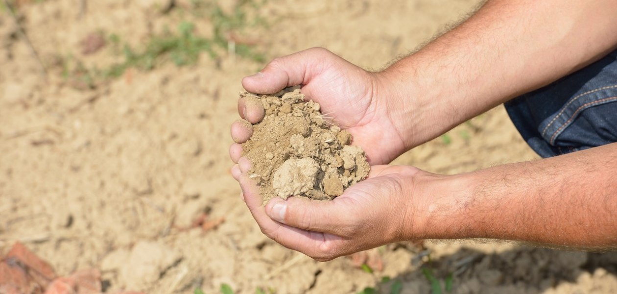 Weingut Schweickardt_Boden, &copy; Weingut Schweickardt