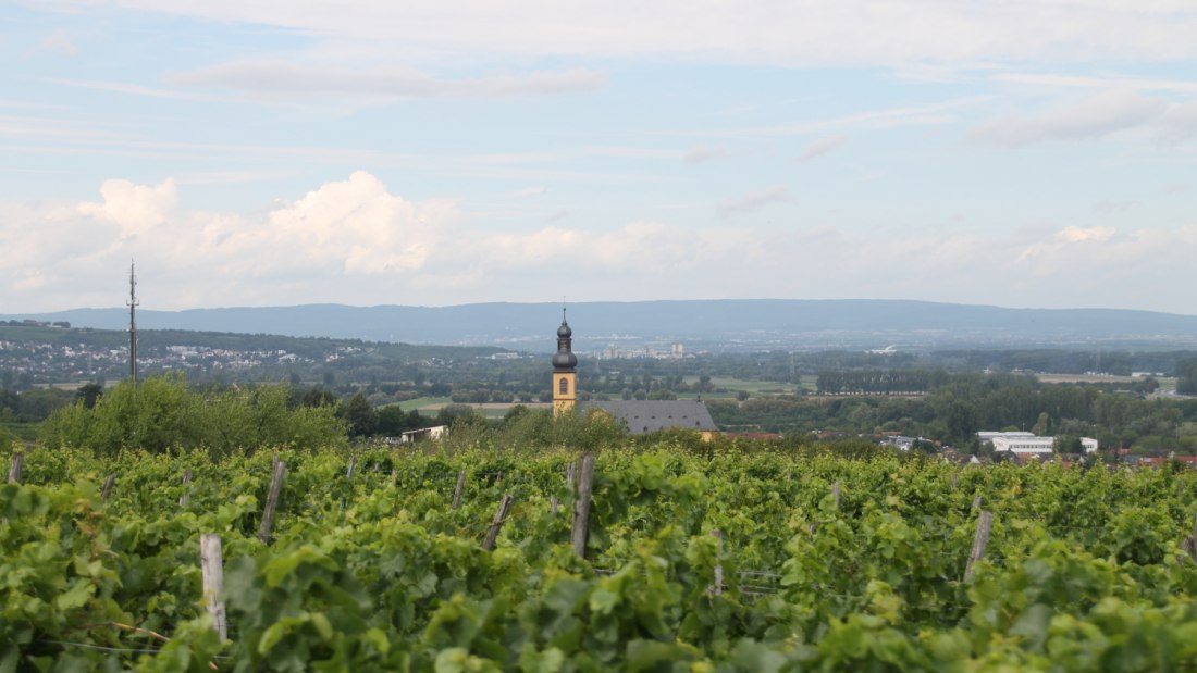 Alt.regional, © Weingut Sans-Lorch
