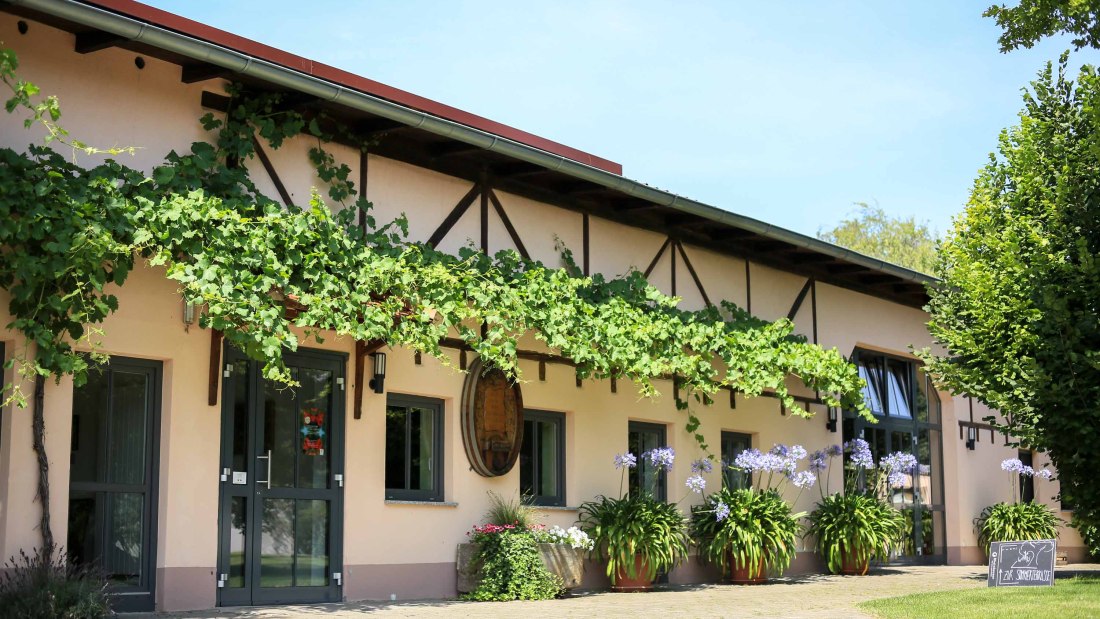 Michel-5, &copy; Weingut Dieter Michel