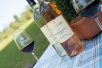 Weingut Nibelungenhof_Weinflaschen, &copy; Weingut Nibelungenhof