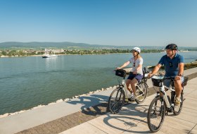 Der Rheinradweg in Rheinhessen &copy; Dominik Ketz