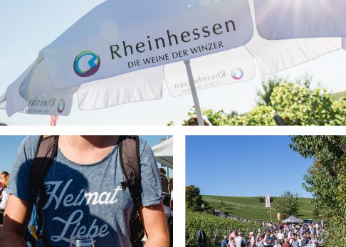 weinlehrpfad-Bodenheim-3