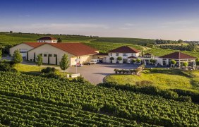 Weingut Raddeck &copy; Weingut Raddeck