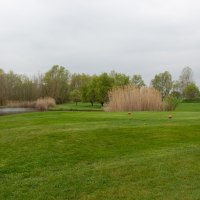 Golf-Club Worms e.V. - Green