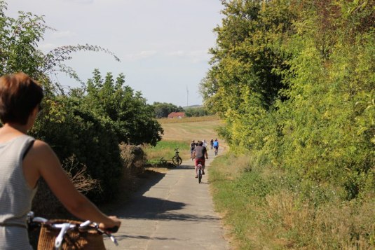 Several cyclists ride along a narrow paved path through a rural landscape. Hedges and trees line both sides, with fields, a house and a wind turbine visible in the distance.