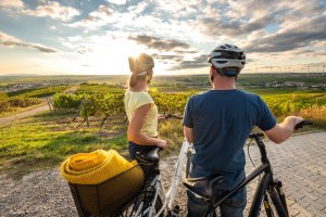 Weinpanorama bei Sonnenuntergang, &copy; Dominik Ketz