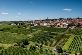 Ober-Olmer Kapellenberg