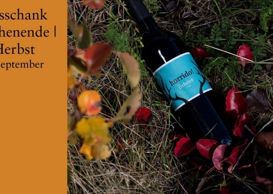 Gutsausschank - Wilder Herbst Weingut Schales &copy; Weingut Schales Fl&ouml;rsheim-Dalsheim